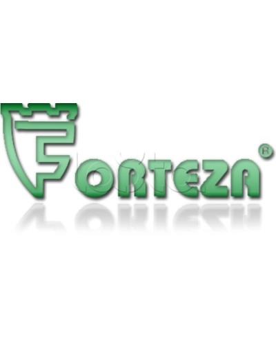Плата сменная Forteza Плата БГр-4 в Раменском Устройства защиты операционных процессоров (ОПС) Pintop.ru