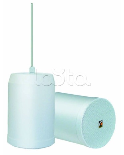 Громкоговоритель встраиваемый ROXTON SP-20T в Раменском Система оповещения и трансляции Roxton Pintop.ru